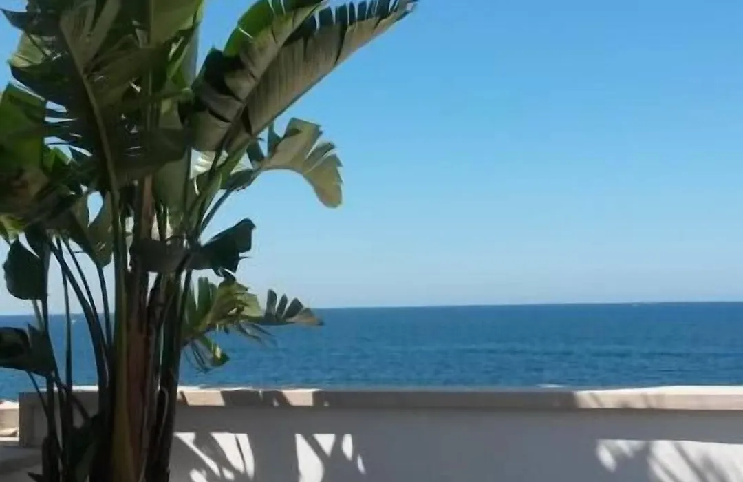MoMa Molfetta Mare-1